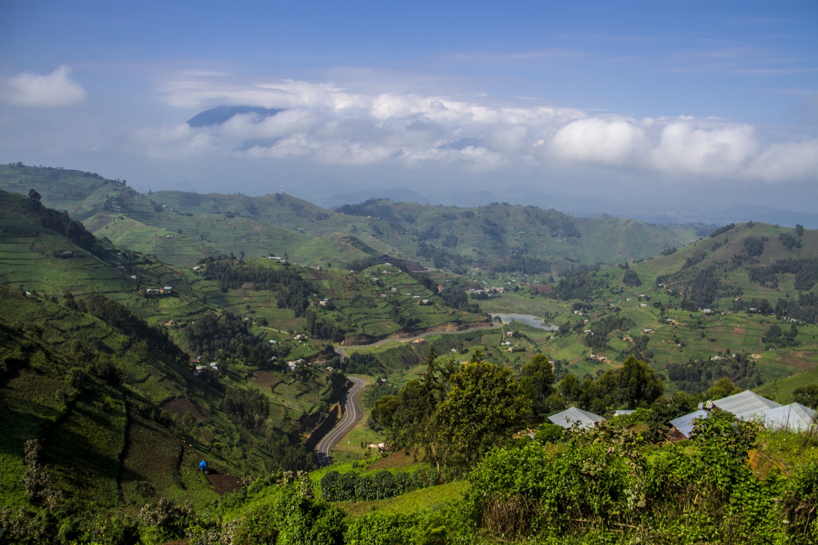 Western Uganda forests, crater lakes, and savanna